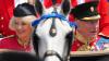 Der britische König Charles III. und Königin Camilla fahren in einer offenen Kutsche zurück zum Buckingham Palace während der «Trooping the Colour», der jährlichen Geburtstagsparade des Königs.
