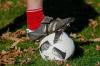 Wo gegen wen der Fußball in der neuen Saison rollt, ist nun vorläufig eingeteilt