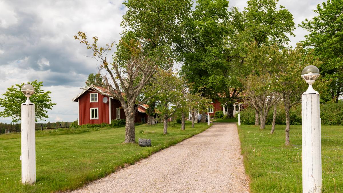 Wandern-im-Zimtschnecken-Tempo-Wie-man-in-Schweden-garantiert-schnell-entschleunigt
