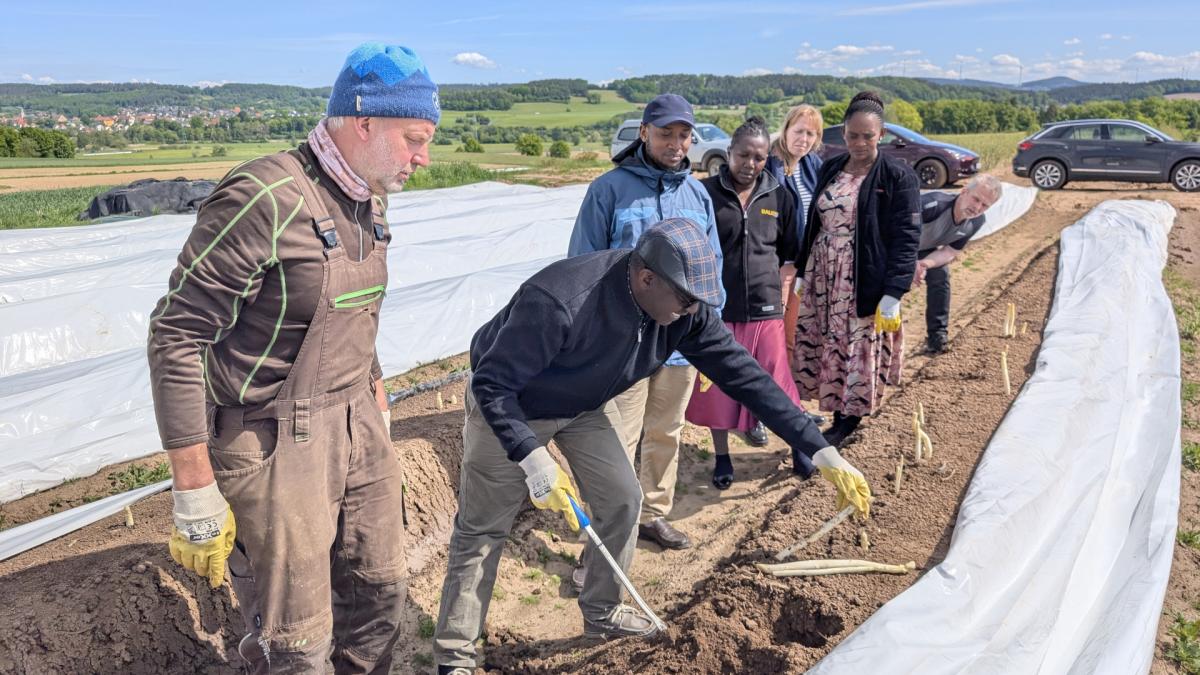 Kultureller-Austausch-mal-anders-Delegation-aus-Tansania-erlebt-oberfr-nkische-Landwirtschaft-hautnah