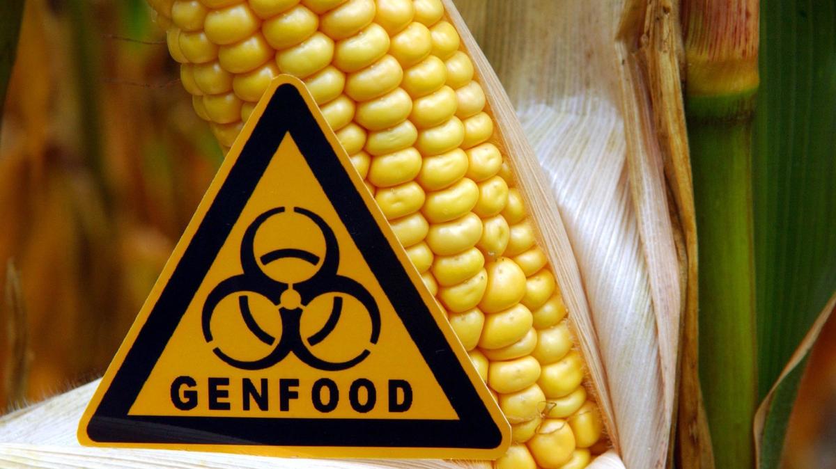 eu-lockert-regeln-f-r-gentechnik-in-lebensmitteln
