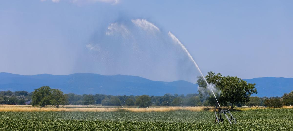 Berghütte, Waschanlage oder Naturbad: Wie in Bayern um jeden Tropfen gerungen wird