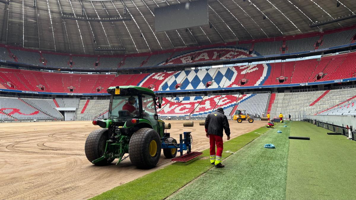 Italiener-verkaufen-dem-FC-Bayern-Gras-Warum-der-Rasen-der-Allianz-Arena-aus-Mailand-kommt