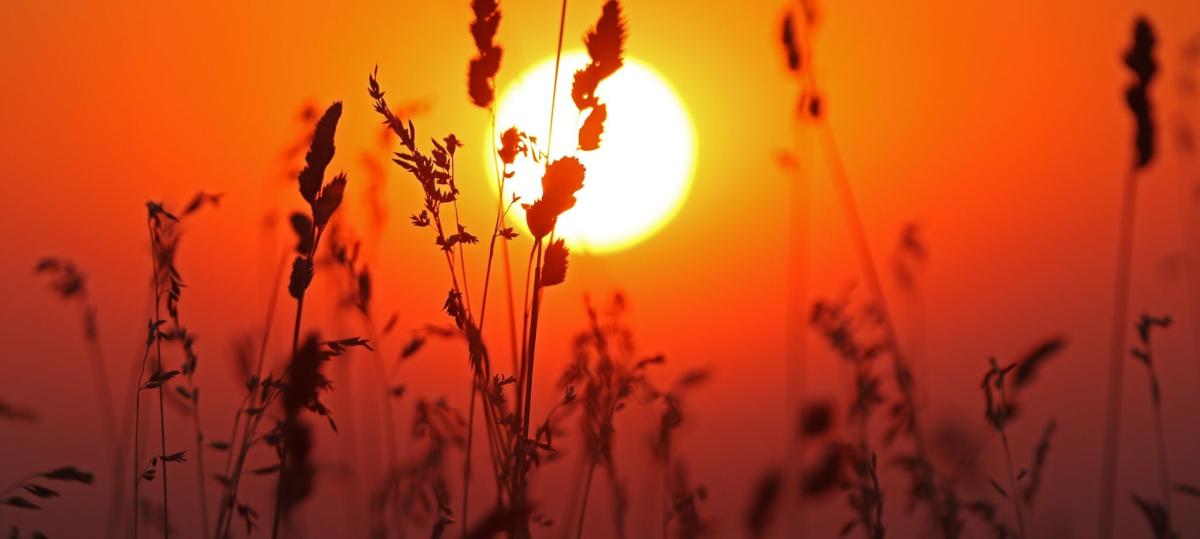 DWD warnt vor extremer Hitze: Wo es am Dienstag richtig heiß wird