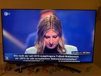 Konzentration beim ZDF-Quiz-Champion: Rebecca Berger aus Oberroth gewinnt 100.000 Euro.