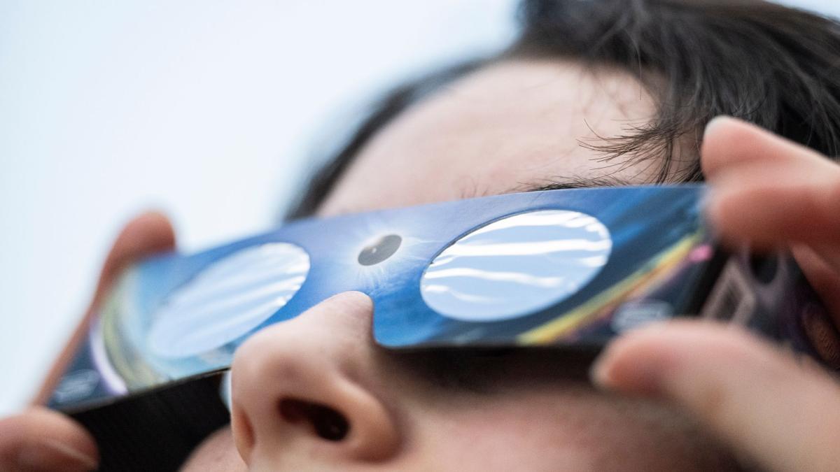 Partial solar eclipse: Couldn't get eclipse glasses? | Pinhole camera ...
