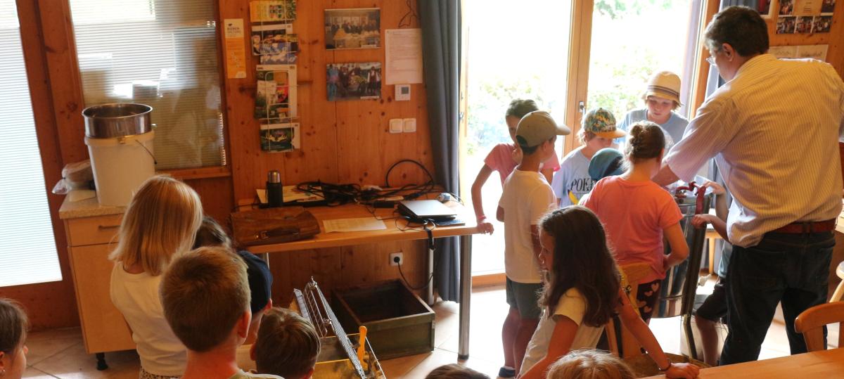 Honig selbst machen und Honigsemmeln essen: Kinder erleben Imkerei am Lehrbienenstand