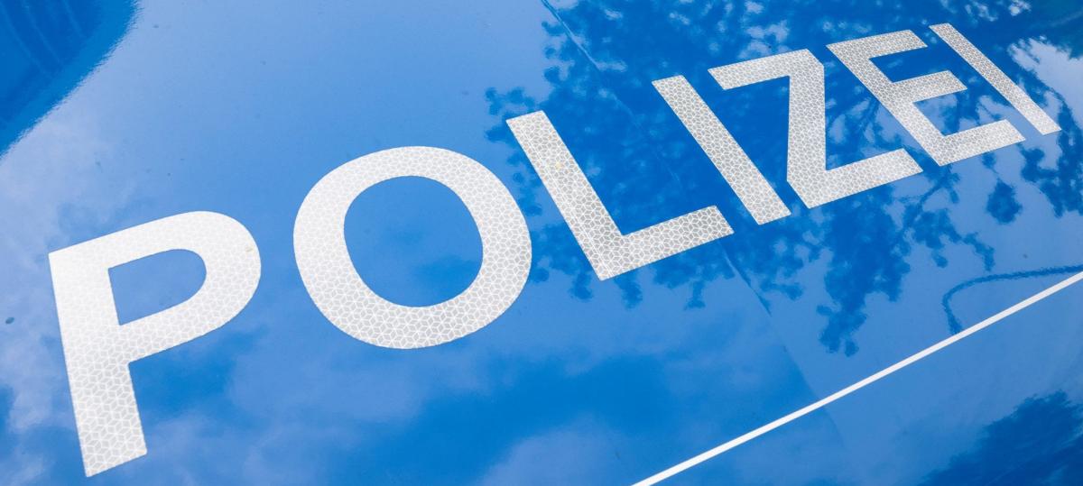 Transport gestoppt: Tierärzte finden verängstigte und apathische Hunde und Katzen