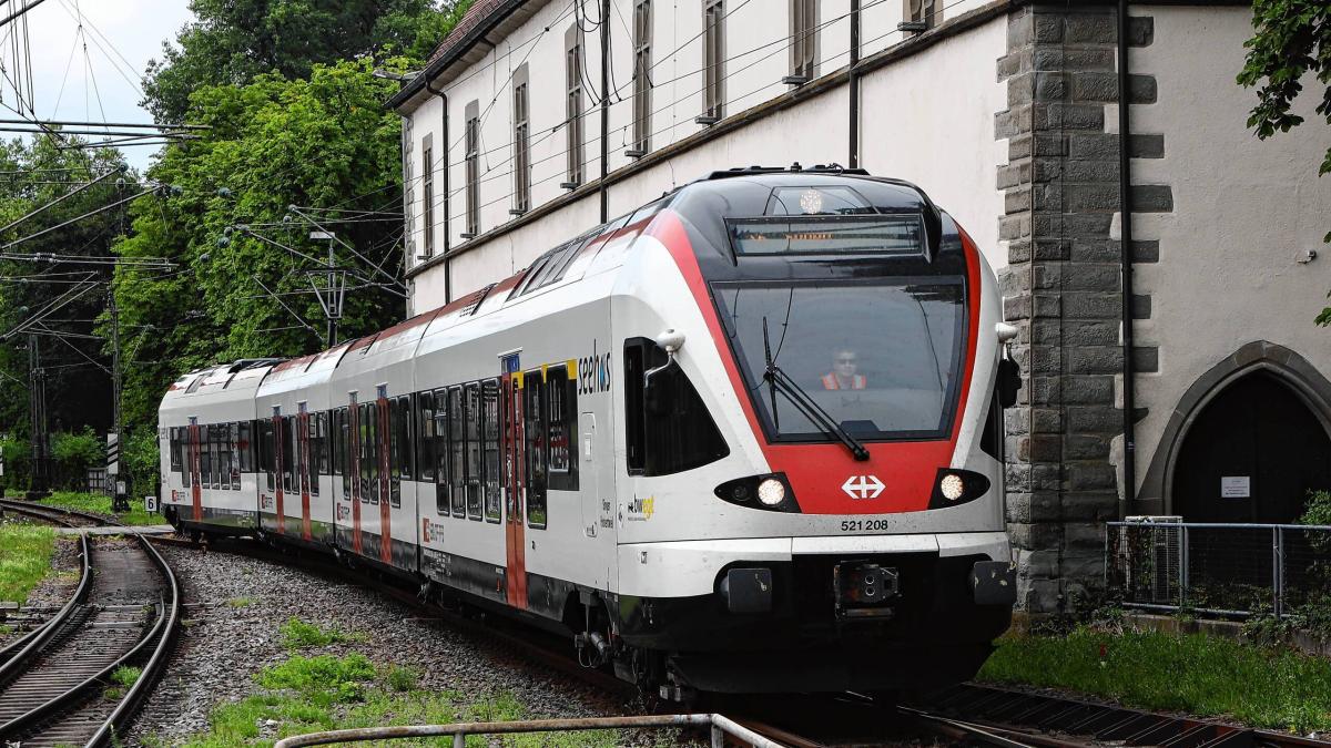 Seehas delays: Are trains that are too short a cause?
