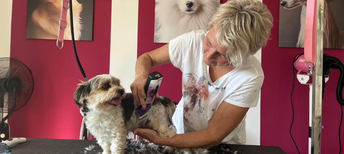 Asian Style oder Teddybär? Hundefriseurin verrät was in ist – und wie sie Hunden die Angst nimmt