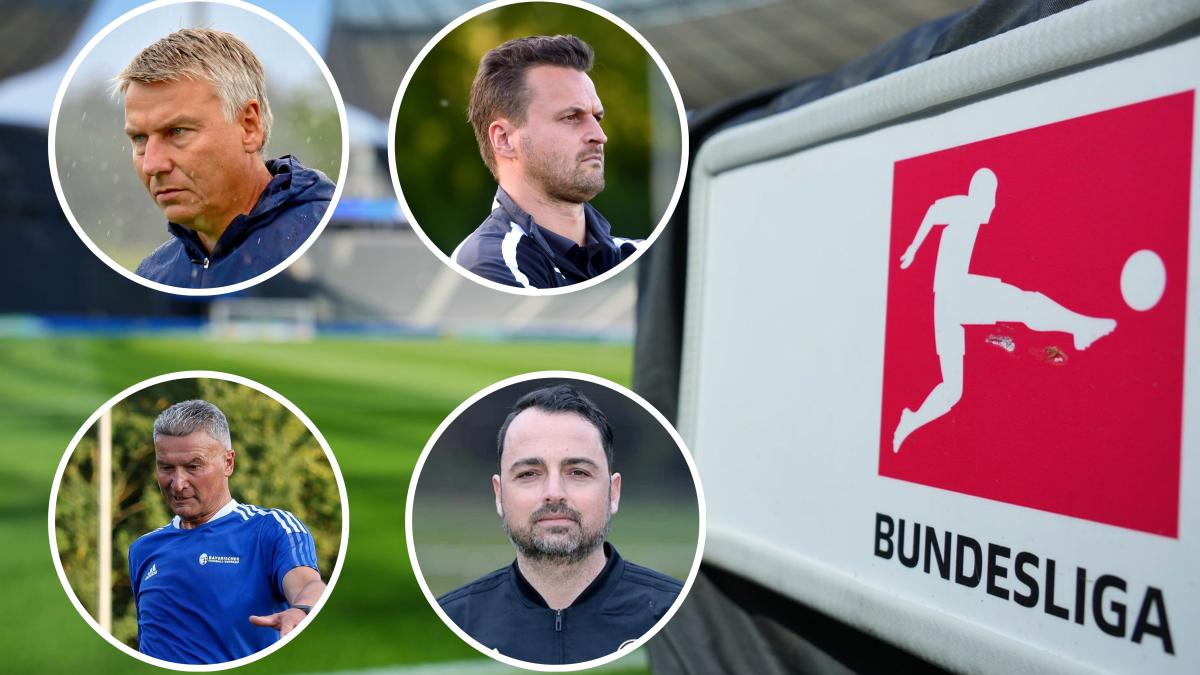 From relegated teams to top scorers: This is how FCA legends predict the ...