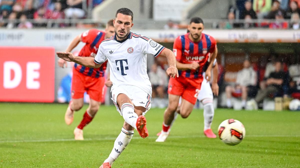 FC Augsburg signs Bayern Munich prodigy Ibrahimovic