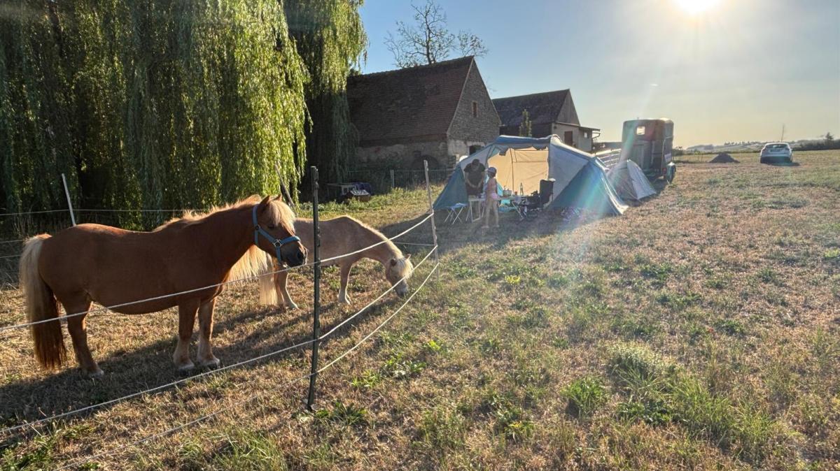 Mit zwei Shettys auf Familien-Säumer-Tour rund um den Hesselberg