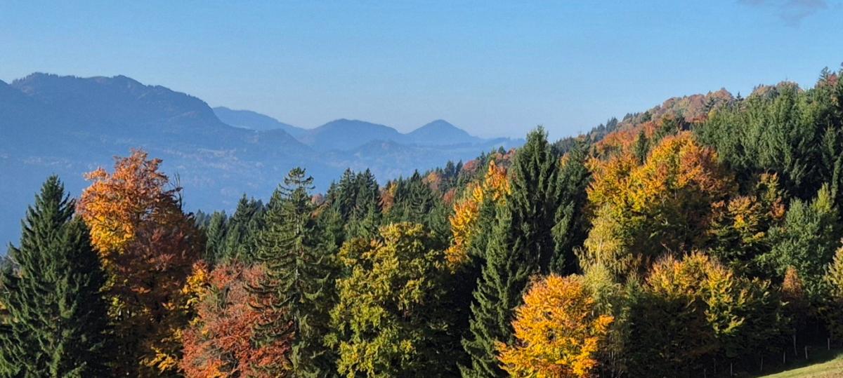 Herbstwanderungen für zwischendurch: So lässt sich der „Indian Summer“ im Allgäu genießen