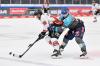 Erzielte beim 5:1-Sieg in München seinen ersten DEL-Treffer: Ingolstadts Angreifer Nicolas Schindler (rechts).