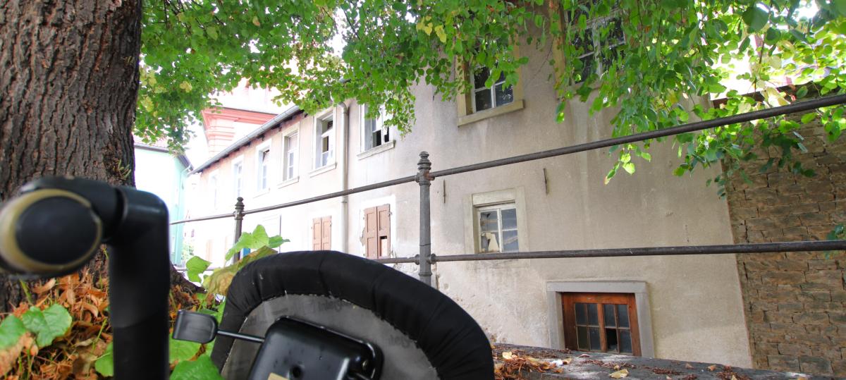 Lärm, Dreck, Krähen und Bauruinen: Mit diesen 4 Problemen kämpft Kitzingen und diese Lösungen gibt es