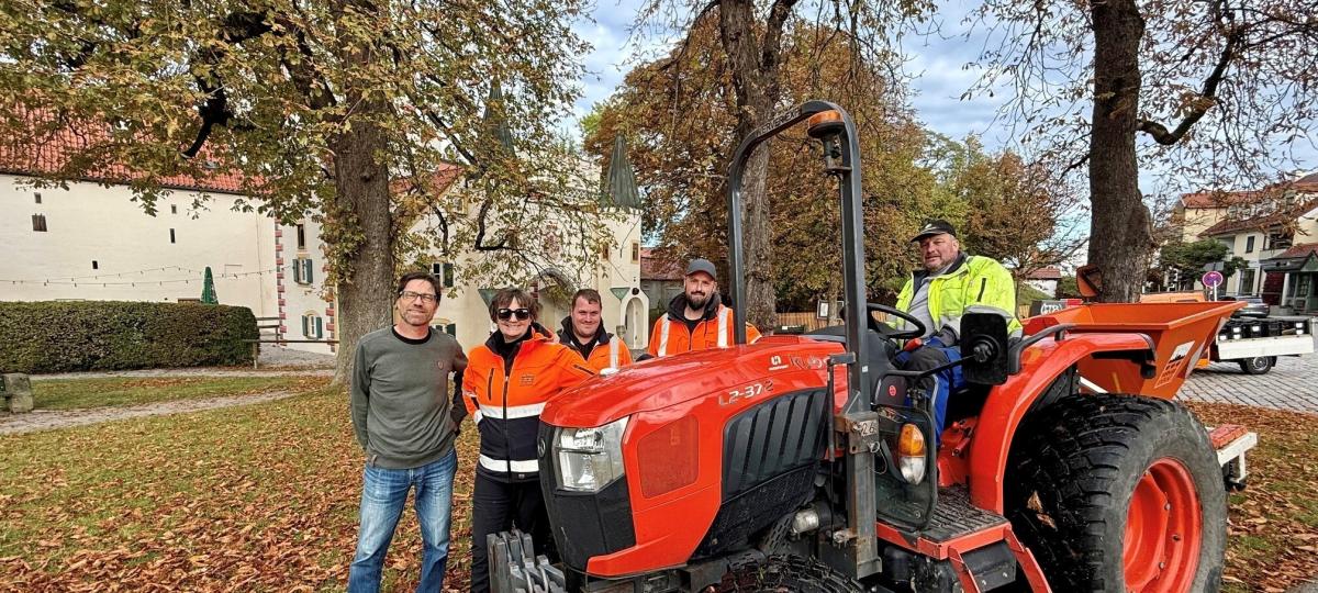 Stadt pflanzt über 32.000 Blumenzwiebeln für den Frühling