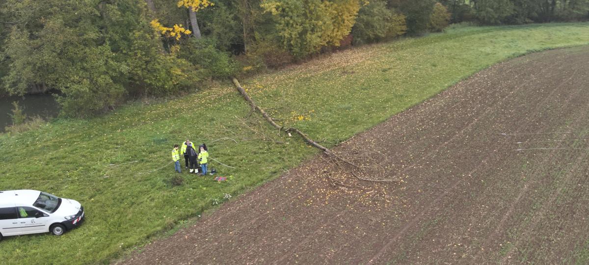 Baum stürzt bei Hollstadt in Freileitung: Biber legt Stromversorgung rund um Bad Neustadt lahm