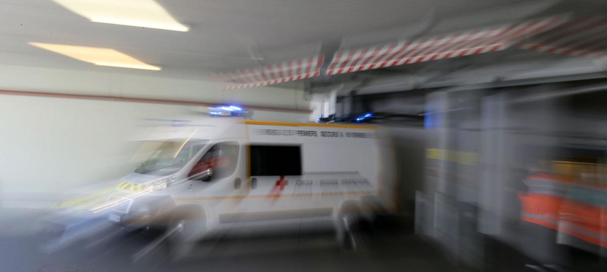 Frankreich meldet ersten Shamonda-Virus-Fall beim Menschen