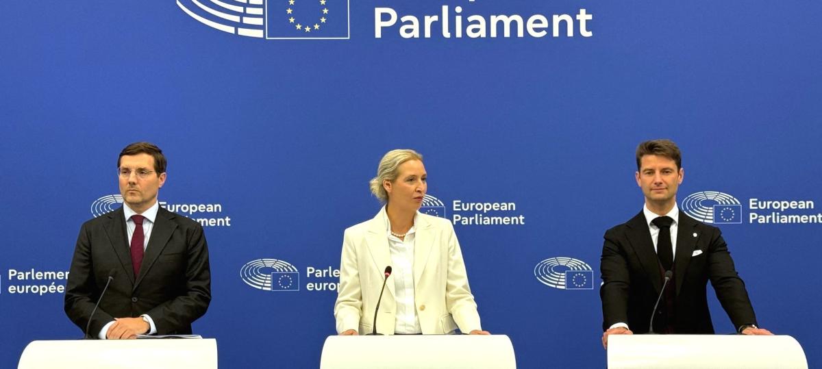 Radikal: Wie die AfD die Europäische Union umgestalten will