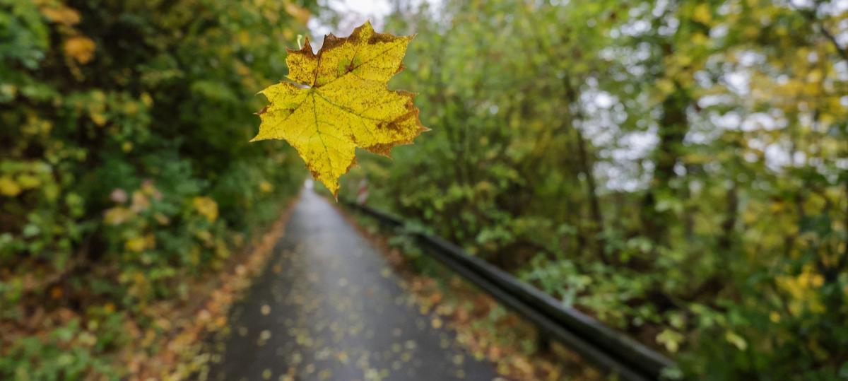 So stürmisch, kalt und nass wird das Wochenende im Südwesten