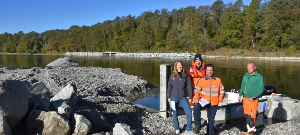 Neue Lebensräume am Rhein: Schwere Maschinen schaffen Zuflucht für Tiere und Pflanzen