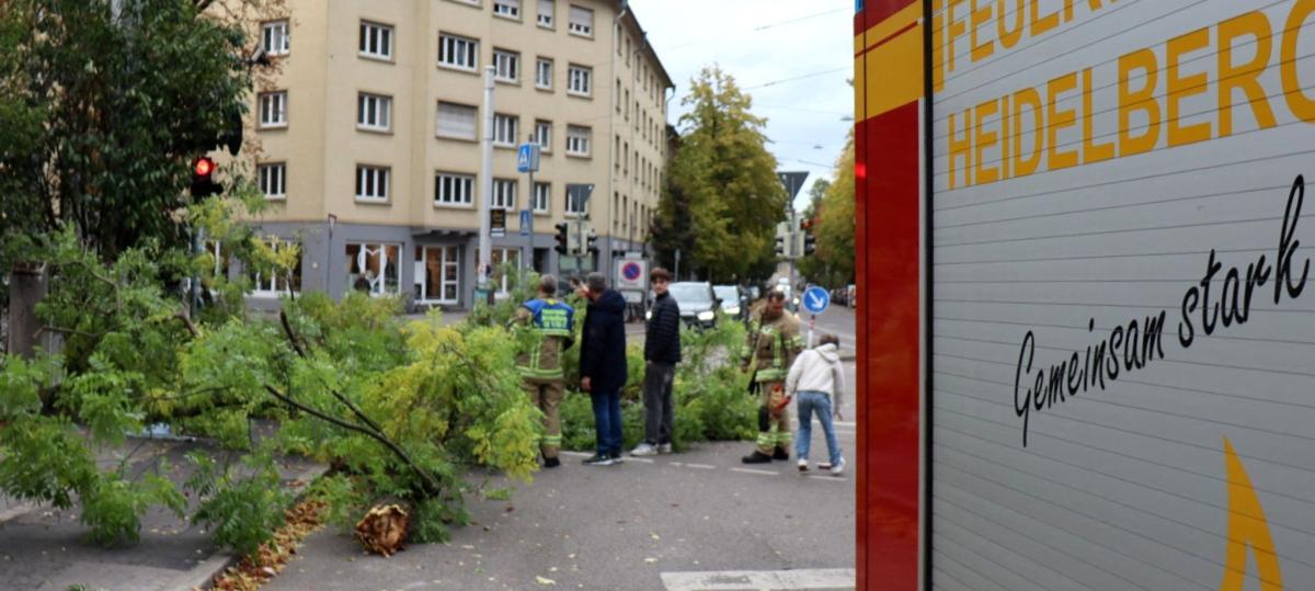 Sturmtief „Luise“ entwurzelt Bäume - Ast trifft Radfahrerin