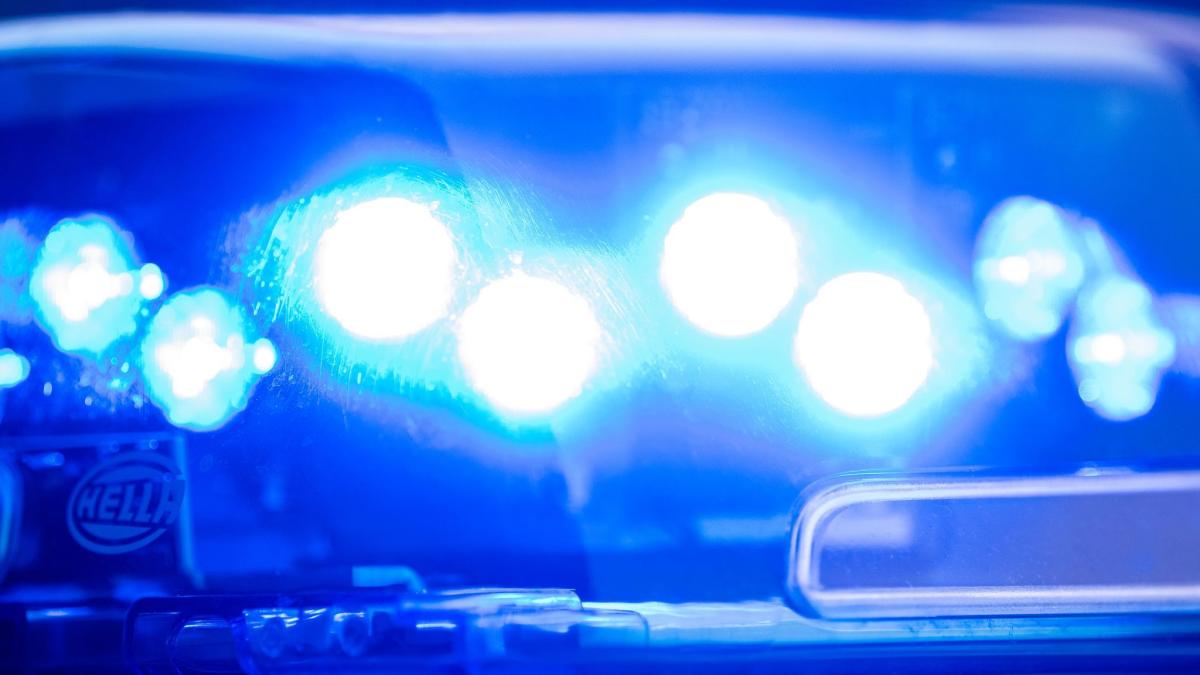 Grenzpolizei kontrolliert Auto: Fahnder finden acht Kilogramm Gold in ...