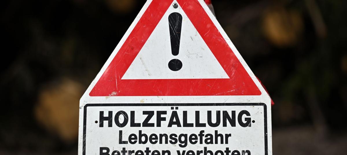 Herbstferien-Sperrung zwischen Marktheidenfeld und Zimmern: Was Radler, Bus- und Autofahrer wissen müssen
