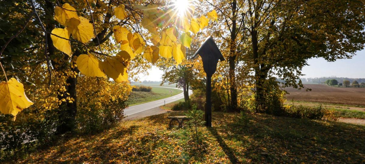 Schauer, Nebel und Sonnenschein: Das Wetter in der Halloween-Woche zeigt sich von allen Seiten