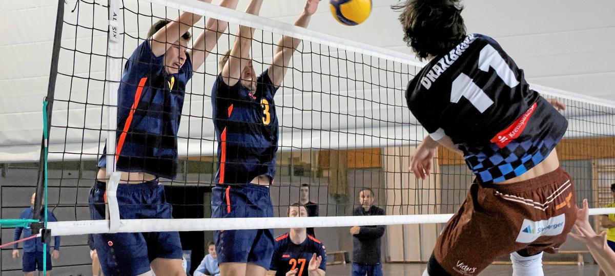 Die besten Volleyball-Bilder vom Heimspieltag des TV Dillingen