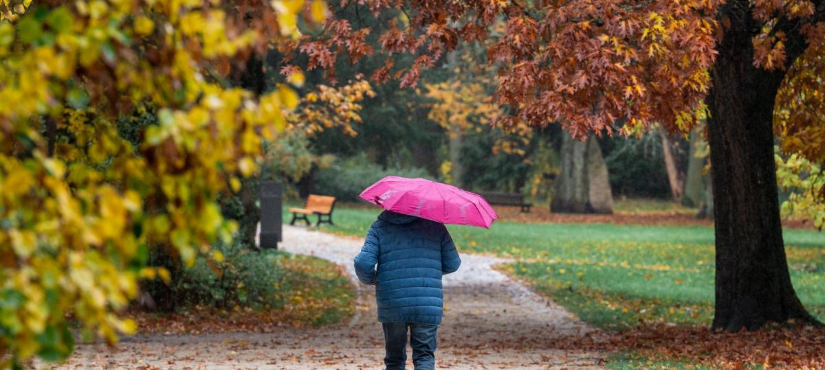Zurück in die Jacke: Bayern erwartet kühles Wetter